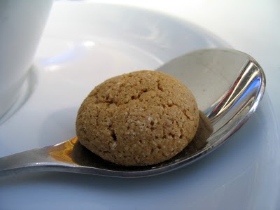 10 Holiday Cookie Ideas Amaretti